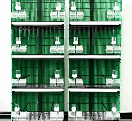 Multi-Layer Multi-Compartment Breeding Birdcage