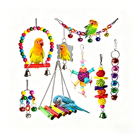 Bird Toys
