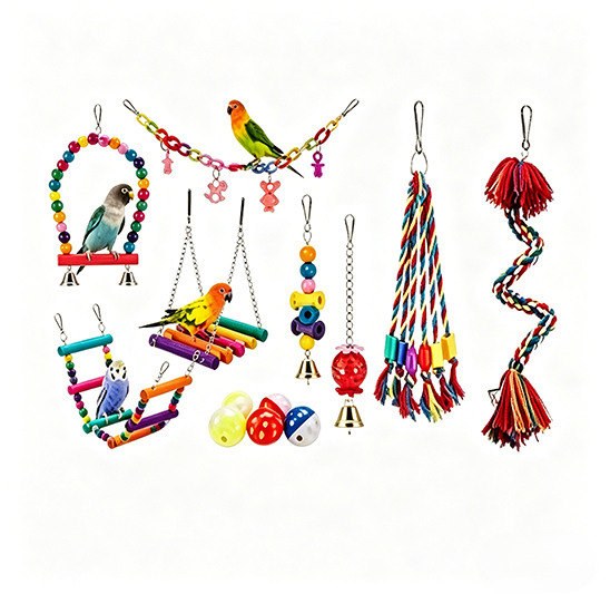 Bird Toys