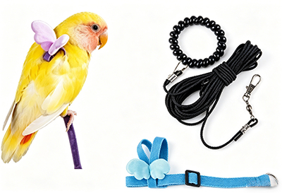 Bird-Toys14